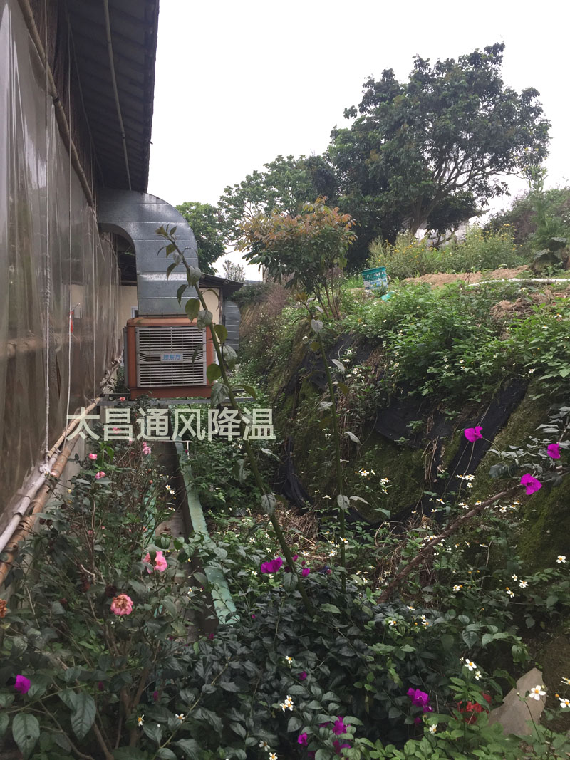 天氣太熱?環(huán)?？照{(diào)為你的餐廳守護(hù)清涼